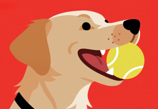 51108211857656.jpg 51108211857656.jpg