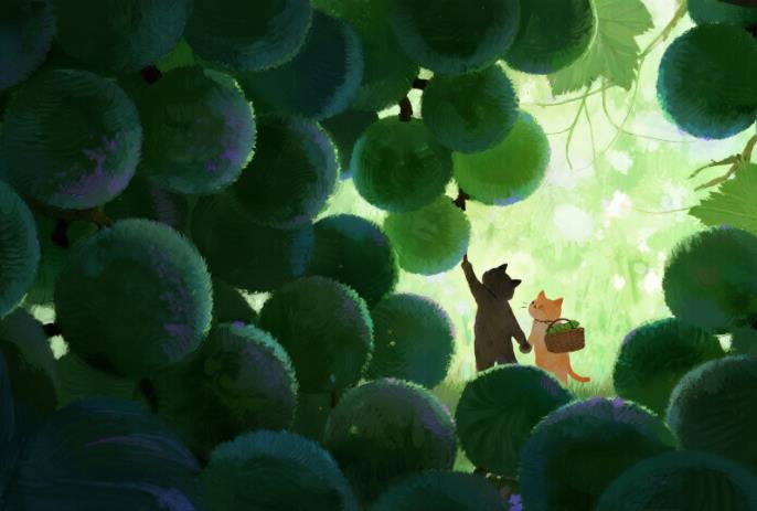 51108215314808.jpg 51108215314808.jpg