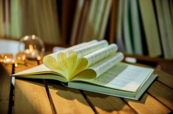 29215732739.jpg 29215732739.jpg