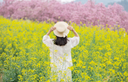 女生信息素味道测试