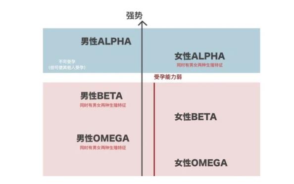 适合omega的信息素测试