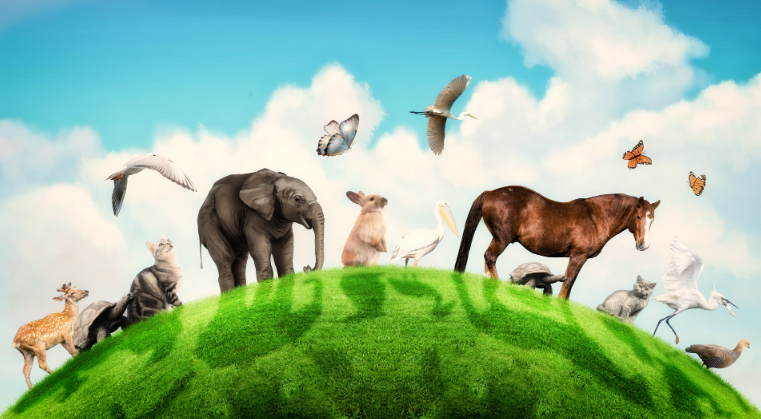 原型动物人格测试