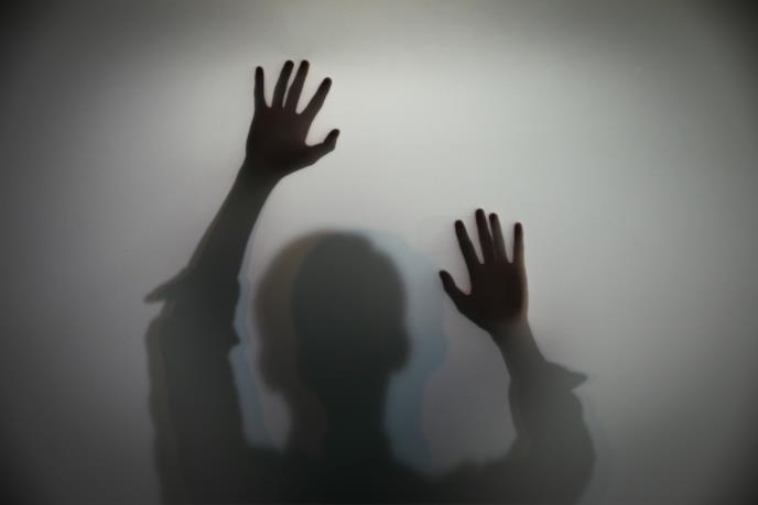 情绪智力量表 eis - 中文版修订