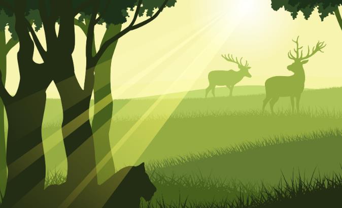 动物塑测试 - 你的动物塑原型 动物塑测试 - 你的动物塑原型