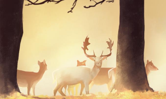 动物塑在线测试