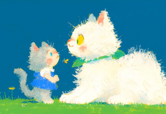 动物塑测试报告 动物塑测试报告