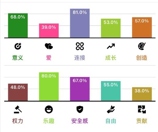 精神需求测试结果解读