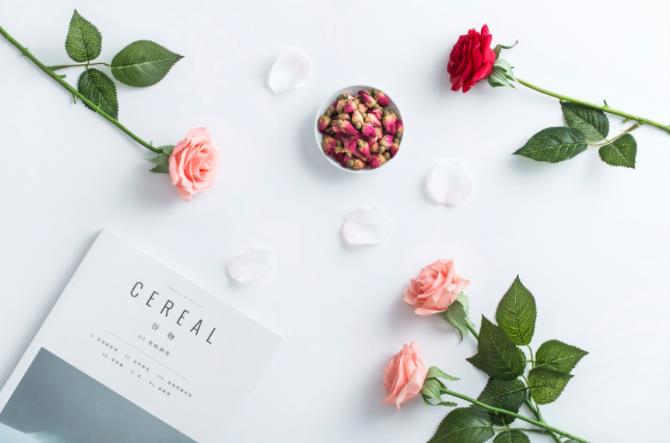 abo测试免费版|信息素气味测试