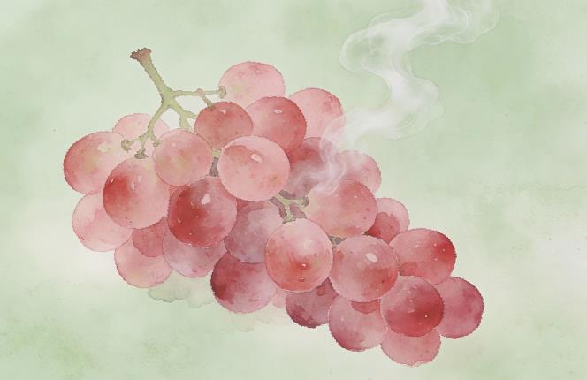 abo世界信息素测试味道大全