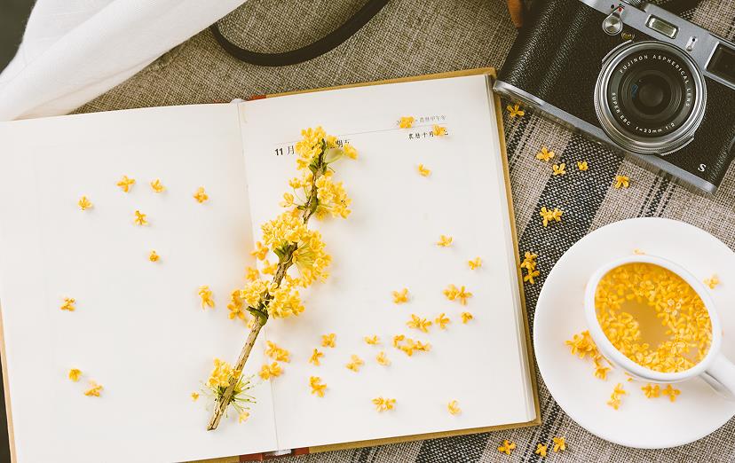 omega信息素测试 | abo气味属性测试 omega信息素测试 | abo气味属性测试